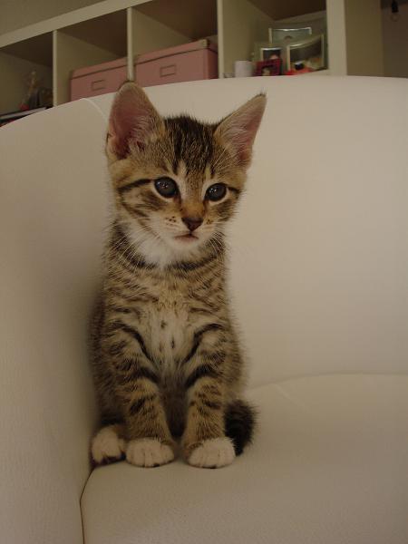 Jinx-18.09.08_2.JPG
