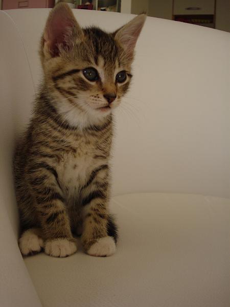 Jinx-18.09.08_4.JPG